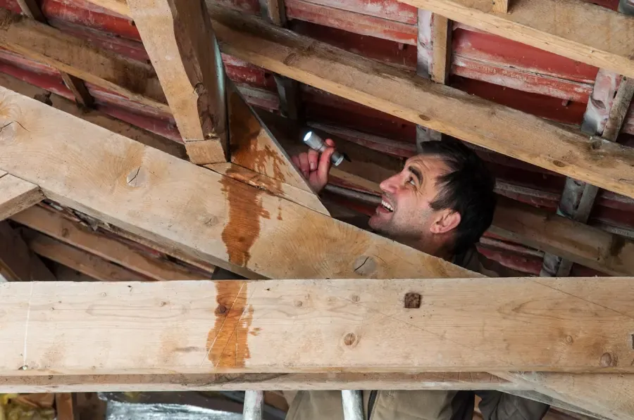 Roof and storm leak water damage in an Alpharetta, GA attic